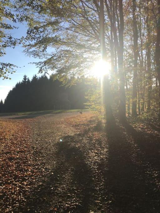 Sauerlandblick Ferienwohnung Altena Exteriér fotografie